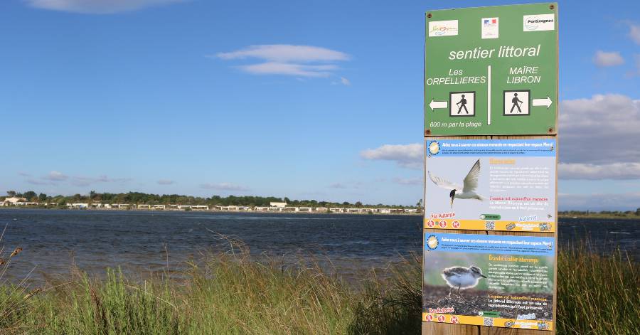 Portiragnes - Protection des oiseaux nicheurs à la Grande Maïre !