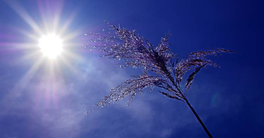 Hérault - Jusqu'à 36°C à l'ombre dans Hérault cette semaine !