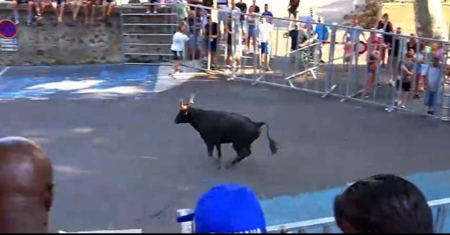 Saint-Thibéry - La féria fait son grand retour à Saint-Thibéry les 22 et 23 juillet !