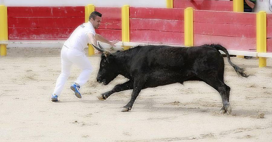 Portiragnes - Tous les mardis et jeudis : C'est Toro Piscine à Portiragnes !