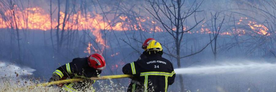 Vias - 15 h - Les Sapeurs Pompiers de l'Hérault sont engagés pour un feu de végétation sur la Commune de Vias