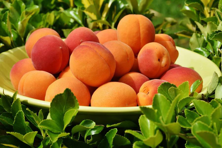 Saint-Thibéry - Le prochain marché nocturne de producteurs c'est le 3 août à Saint-Thibéry !