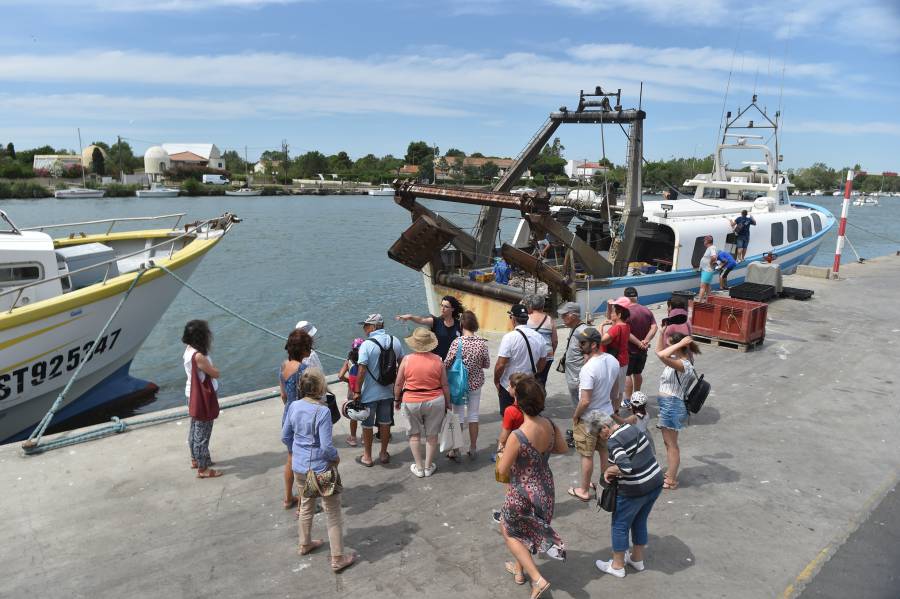 Grau d'Agde - De la peche à l'assiette : Les visites guidées de la Criée du Grau d'Agde
