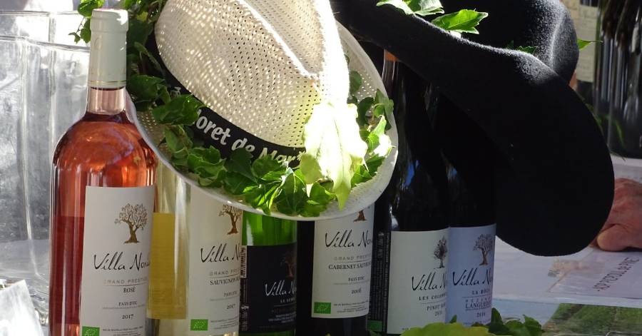 Montagnac - Foire Chapo'vin 2022 : les inscriptions sont ouvertes !