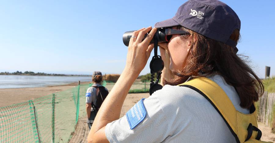 Hérault - Des patrouilles en mer et sur la plage pour veiller sur nos sites protégés