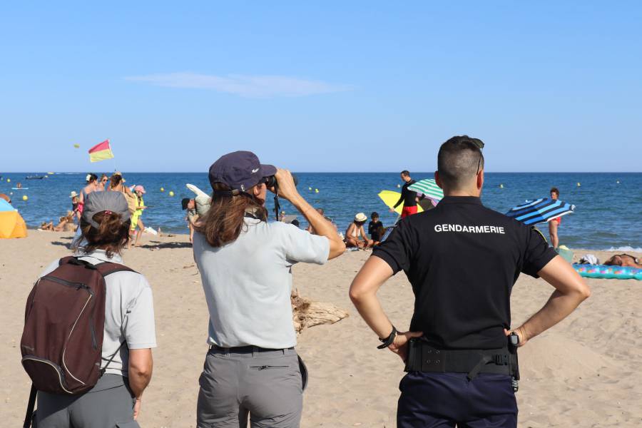 Hérault - Des patrouilles en mer et sur la plage pour veiller sur nos sites protégés
