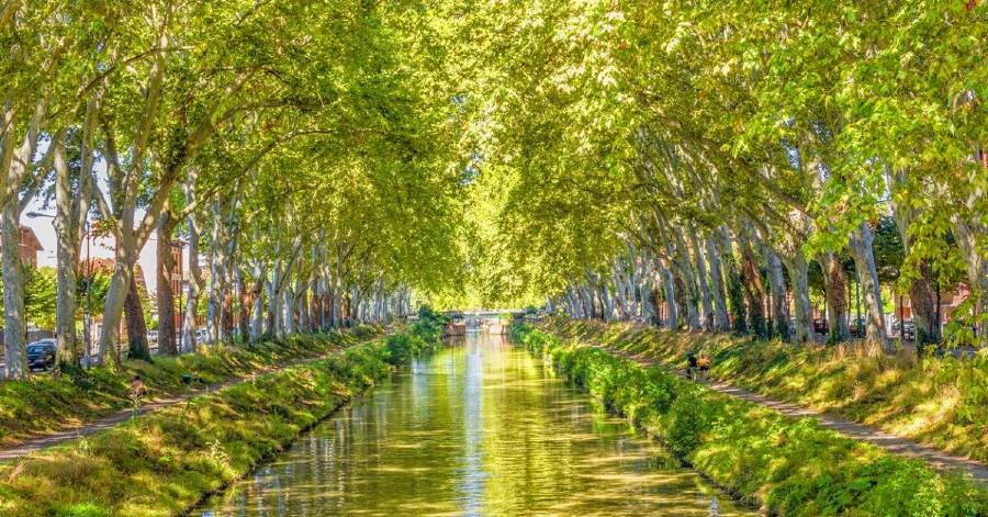 Occitanie - Canal du midi : les activités et visites à faire
