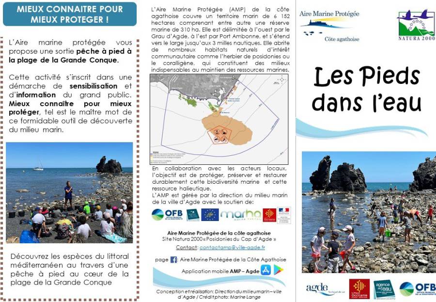 Cap d'Agde - A la découverte de milieu marin de la côte Agathoise !