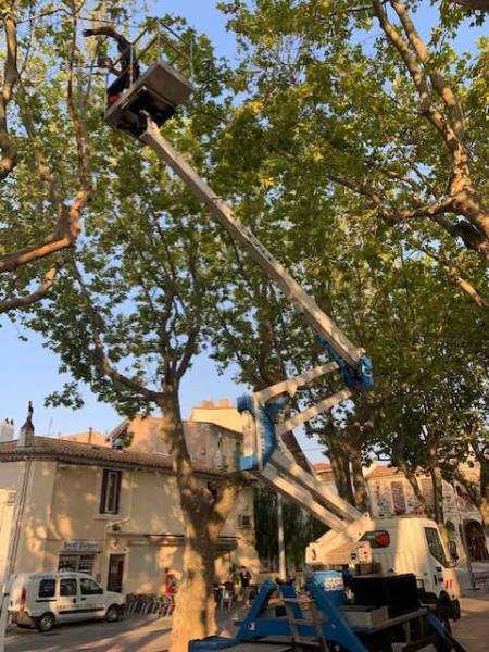 Bessan - Les platanes de la place de la Promenade surveillés pour mieux sécuriser le public