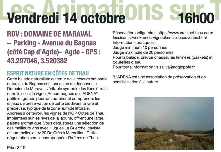 Agde - Destination Thau en Méditerranée : Demandez le programme du 14 au 16 octobre 2022