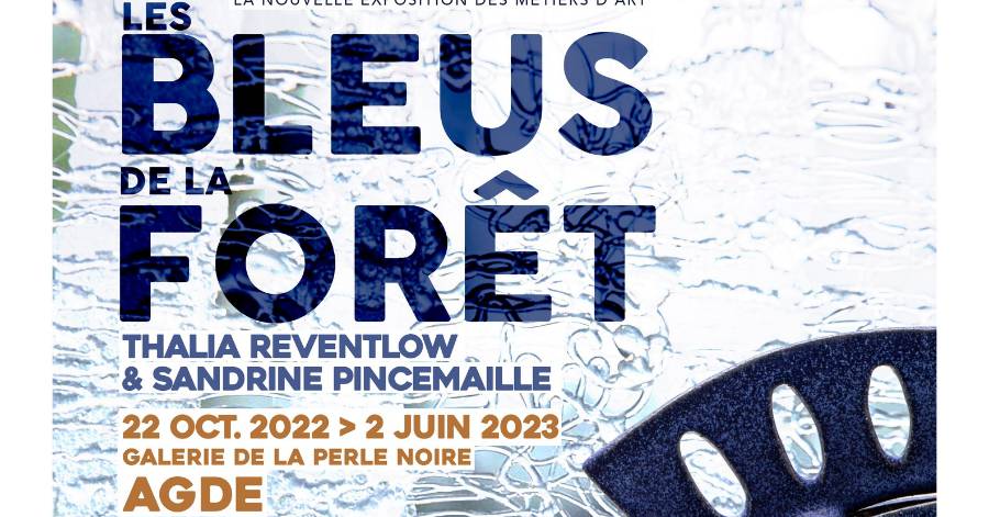 Hérault - Nouvelle Exosition   Les Bleus dans la fôret    Le vernissage de l'exposition aura lieu le vendredi 21 octobre