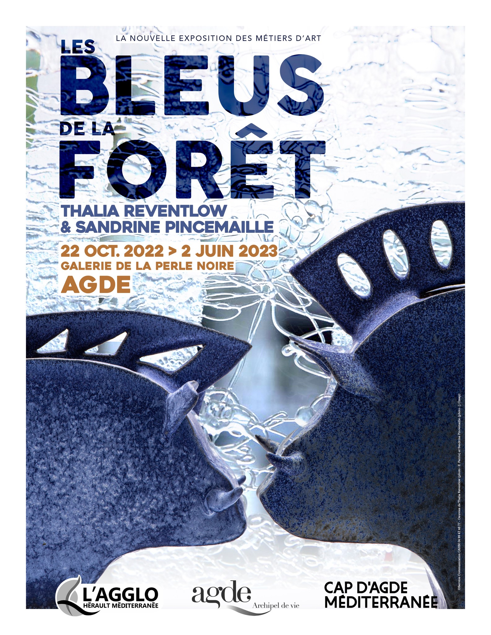 Hérault - Nouvelle Exosition   Les Bleus dans la fôret    Le vernissage de l'exposition aura lieu le vendredi 21 octobre
