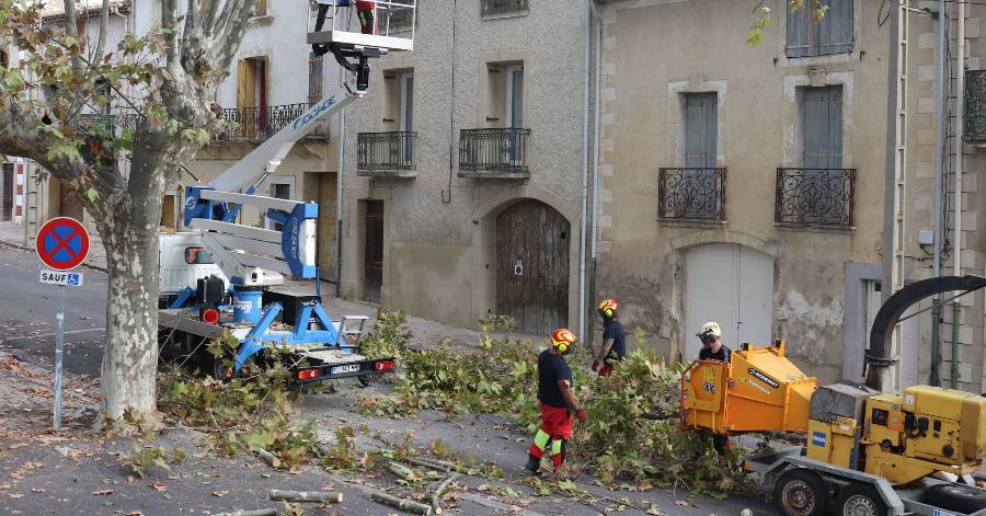 Tourbes - Élagage sur la place à Tourbes
