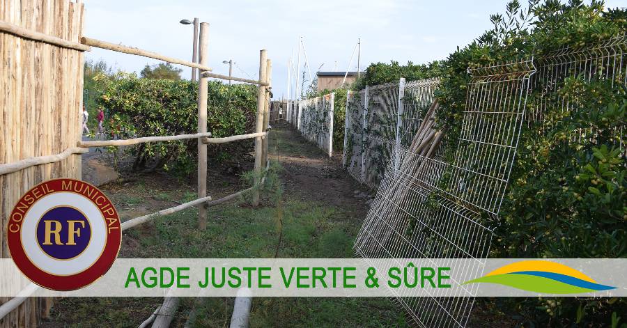 Agde - Une montée en gamme contre vents et marées par Agde juste, verte et sure
