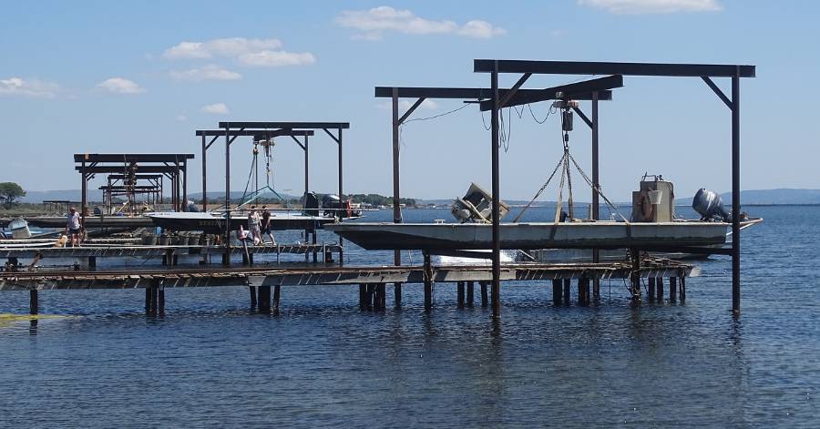 Marseillan - Levée de toutes restrictions de récolte et de consommation sur les coquillages de l'étang de Thau