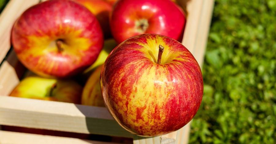 Vias - Le Comité des Fêtes vous propose des pommes au profit du Téléthon !