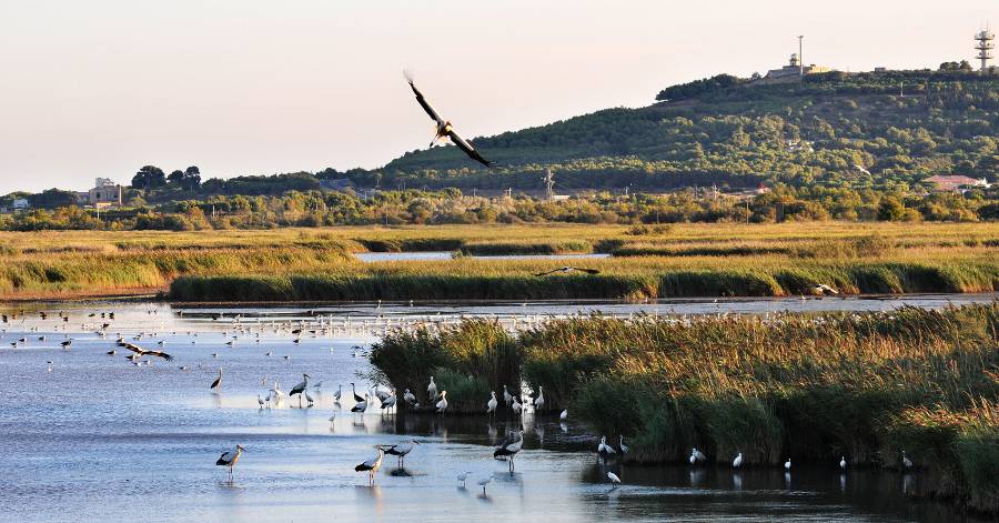 Agde - De nouveaux aménagements à la Réserve Naturelle du Bagnas