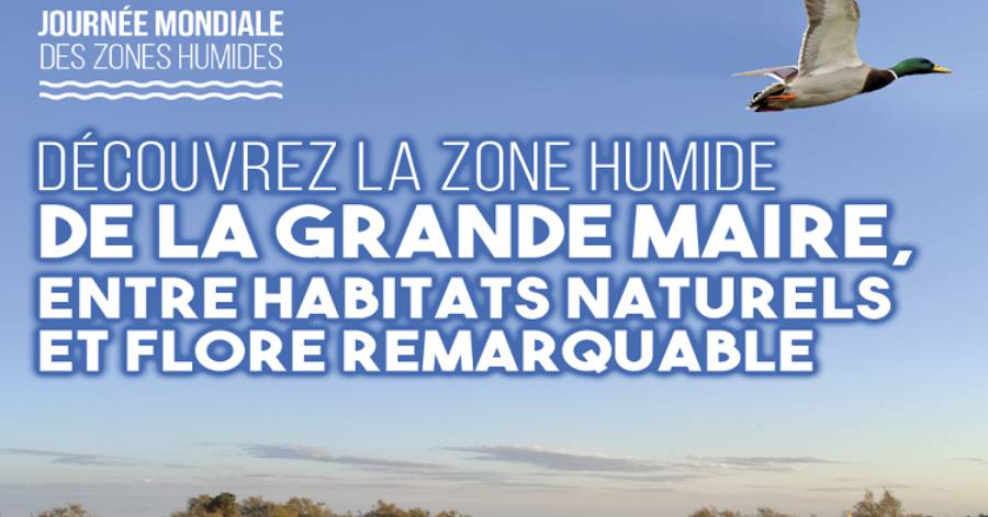 Portiragnes - Découvrez La Grande Maïre le 3 février à Portiragnes
