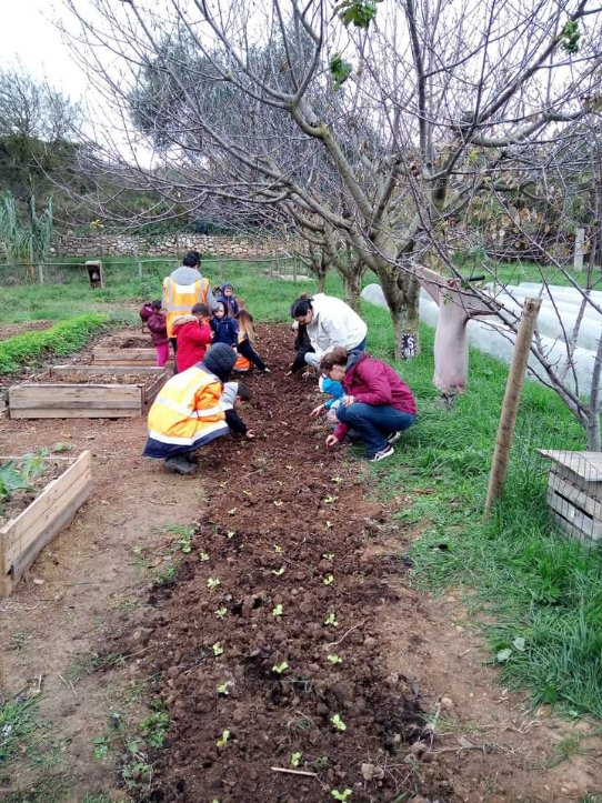 Montagnac - A la rencontre des jardiniers en herbe de l'école maternelle publique Jules Ferry !