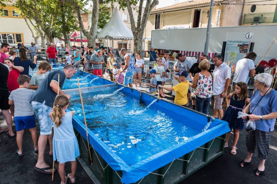 Bessan - Les infos de la Gaule Bessanaise avec le permis de pêche en ligne de mire