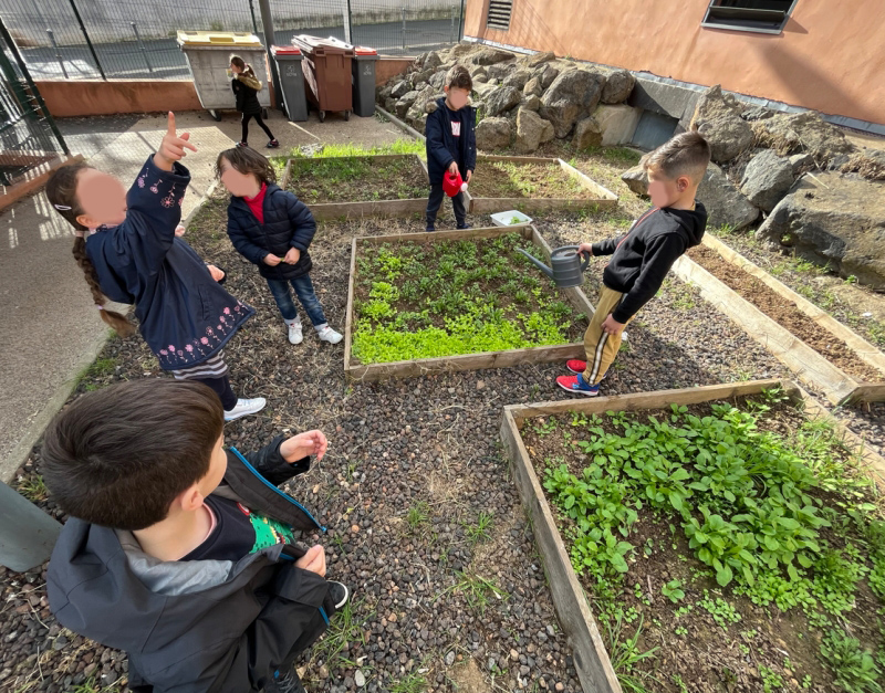 Agde - Les enfants de l'école Jacques Prévert initiés au jardinage !