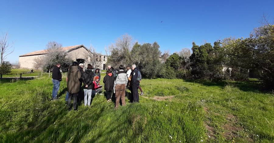 Agde - Découvrez les plantes comestibles du Bagnas lors d'une sortie nature