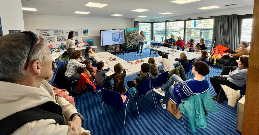Cap d'Agde - Un atelier mercredi 8 mars sur les requins à la Maison de la Mer