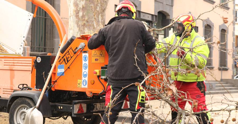 Agde - Opération inédite d'élagage en coeur de ville d'Agde