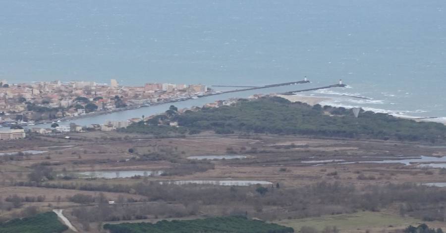 Agde - Dégradation du bois de La Tamarissière : une association organise une conférence de presse