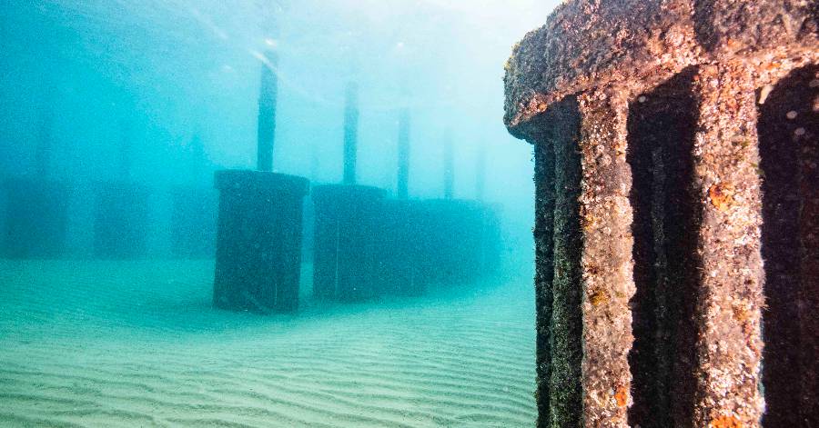 Grau d'Agde - Biodiversité : l'atténuateur de houle, un nouvel abri pour la faune et la flore maritime