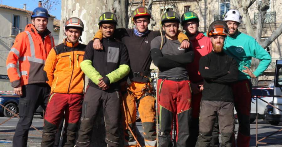 Pézenas - Collaboration inédite entre l'Agglo et des apprentis élagueurs à Pézenas