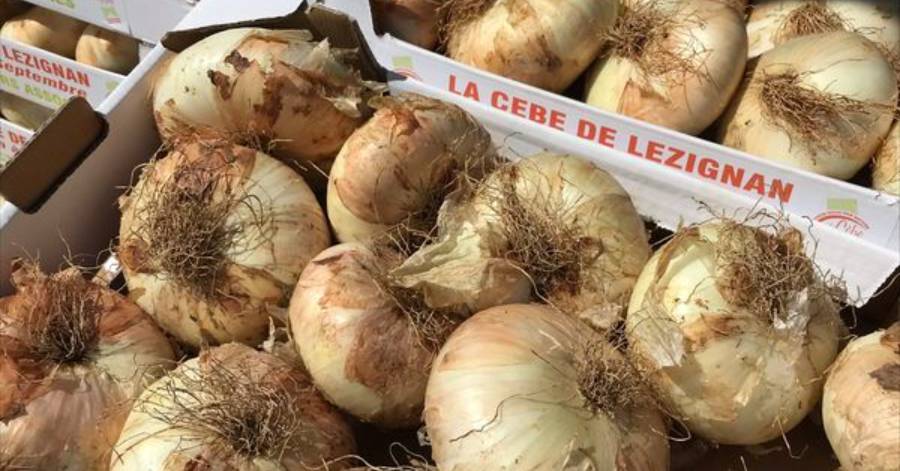 Agglo Hérault Méditerranée - Le périmètre de production de Cèbes élargi à 63 communes !