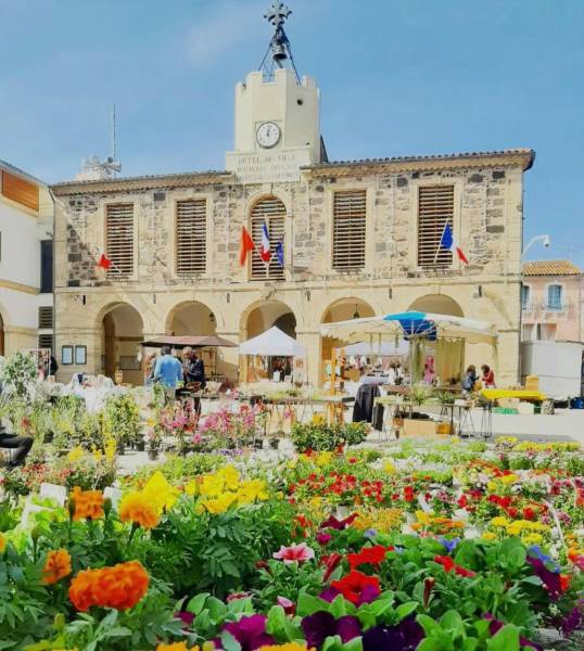 Bessan - La 3e édition de la Tuque en fleurs remet les floralies au cœur du centre-ville
