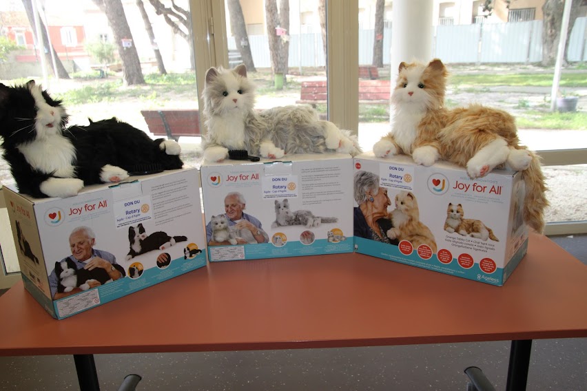 Agde - Le Rotary Club offre des chats interactifs à l'hôpital et à l'Ephad d'Agde