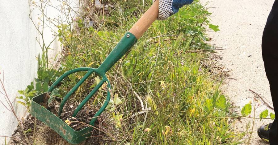 Agglo Hérault Méditerranée - Adoptez le bon réflexe : Désherbez devant chez vous !