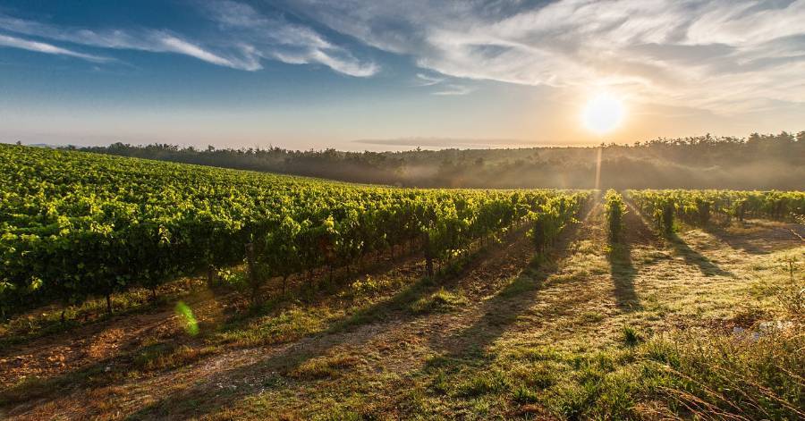 Vias - Vélo ludique et gourmand entre vin et spiruline ! Le 4 mai à Vias