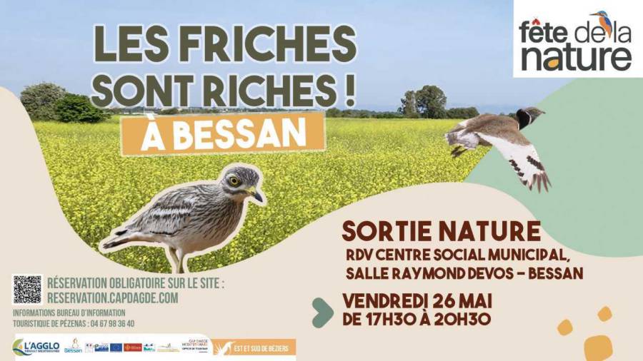 Bessan - Les friches sont riches à Bessan ! 2e fête de la nature fin mai