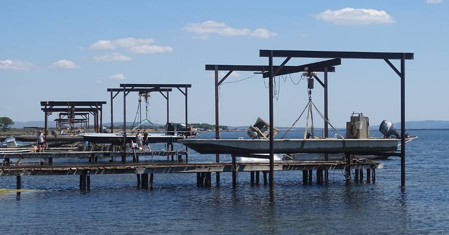 Marseillan - Restriction sur les moules et palourdes de l'étang de Thau