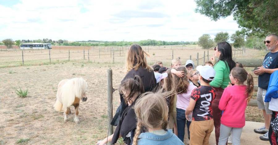 Marseillan - Visite de l'Étrier du Bagnas pour les petits de l'école M-Louise Dumas