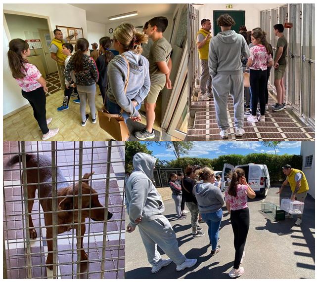 Vias - Un groupe de jeunes viassois visite la fourrière animale du SIVOM