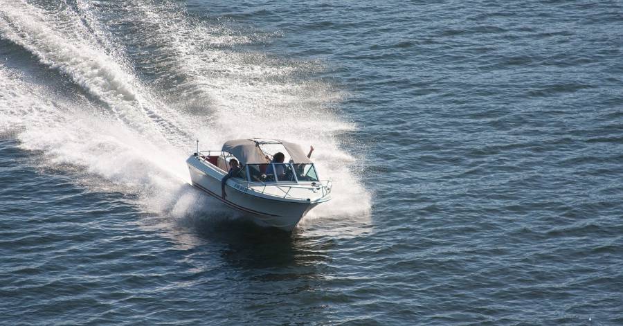 Marseillan - Interdiction de la navigation sur l'étang de Thau aux abords de nids d'oiseaux