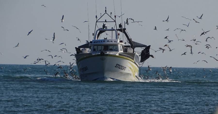 Agde - Découvrez le programme de la Fête des Pêcheurs à Agde et au Grau d'Agde