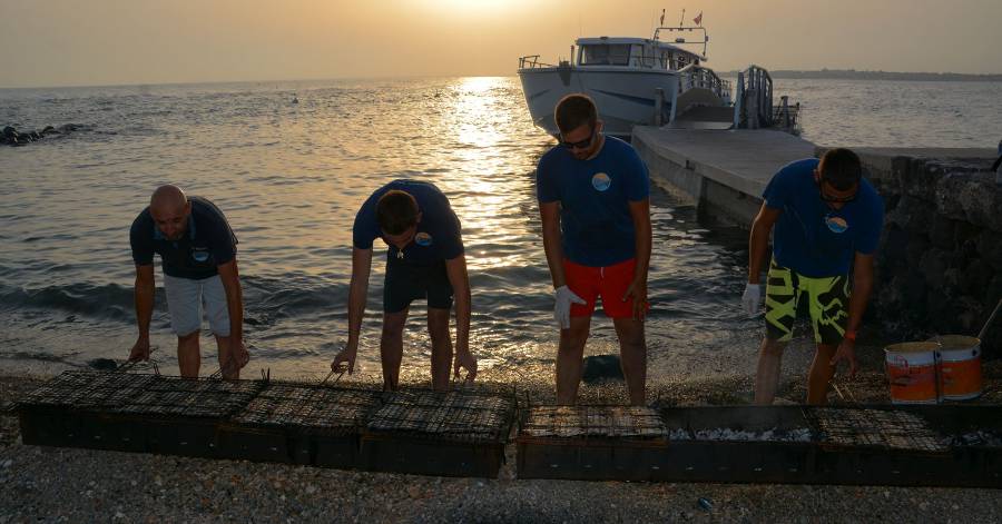 Grau d'Agde - Idée sortie - Soirée sardinade au fort Brescou avec Les Bateaux Agathois !