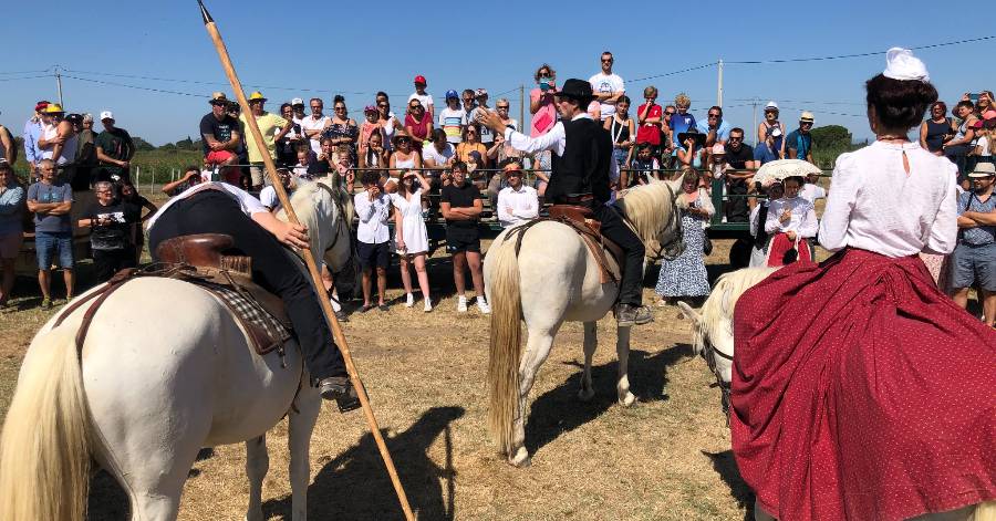 Portiragnes - Course Camarguaise et journée à l'ancienne ce week-end à Portiragnes !