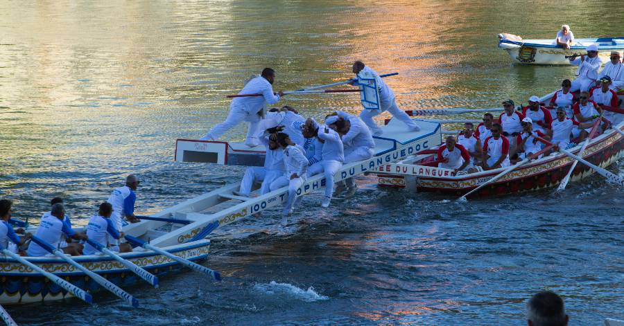 Agde - Les photos du Trophée du Languedoc de joutes à Agde