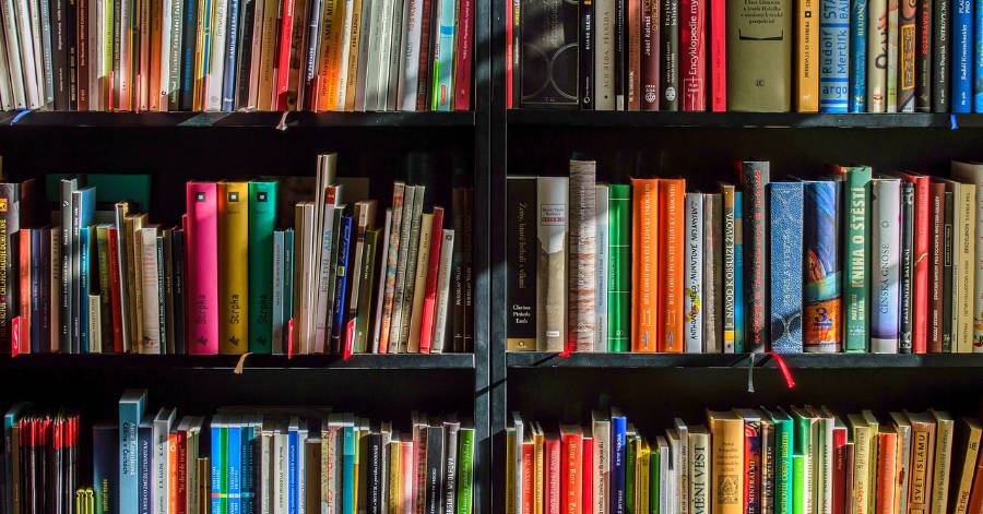 Vias - La bibliothèque municipale est ouverte durant la saison à Vias