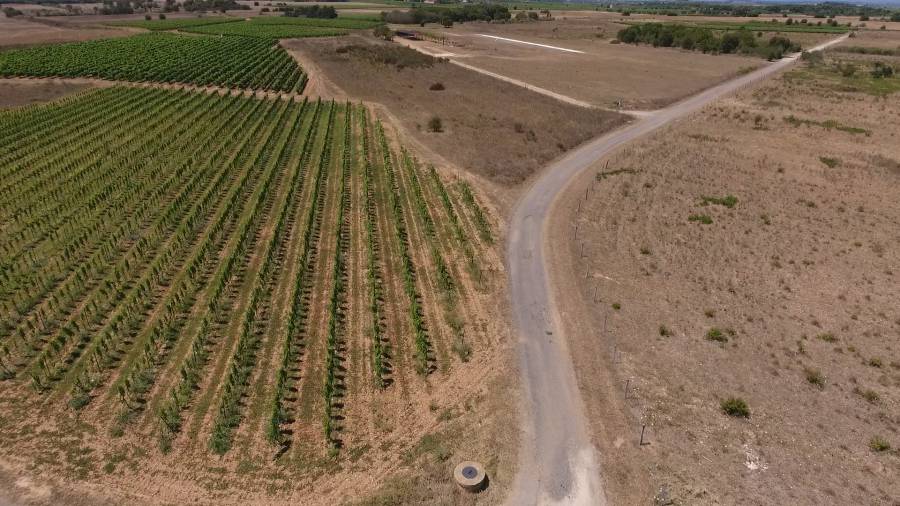Bessan - Le plan municipal pluriannuel de réhabilitation des chemins viticoles a repris