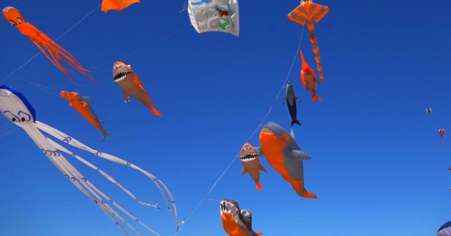 Portiragnes - Le Festival du Vent aura lieu les 9 et 10 septembre à Portiragnes