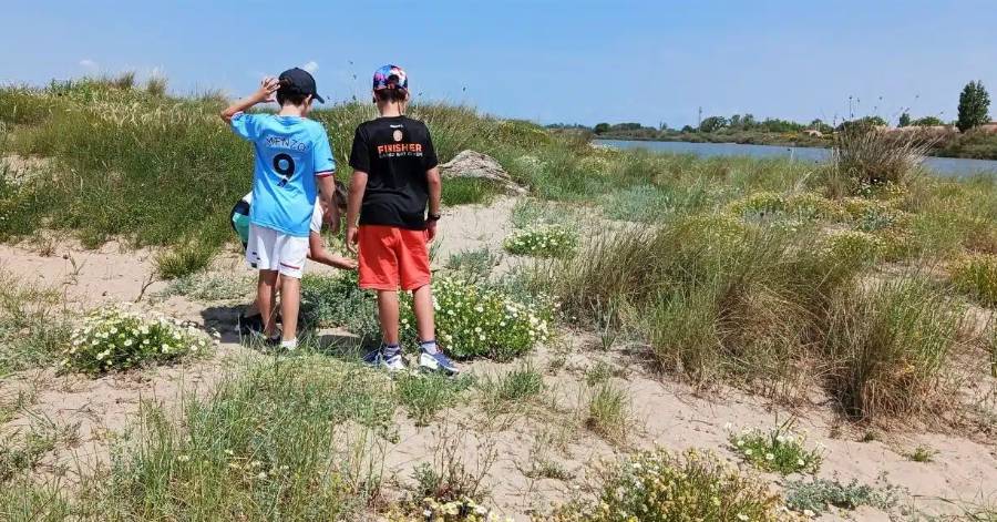 Agglo Hérault Méditerranée - Education au Développement Durable et découverte de l'Archéologie : les projets sont en ligne !
