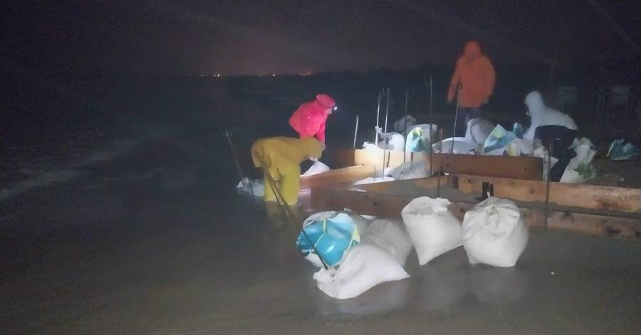 Marseillan - Belle énergie des bénévoles pour prendre soin des nids de tortues de Marseillan